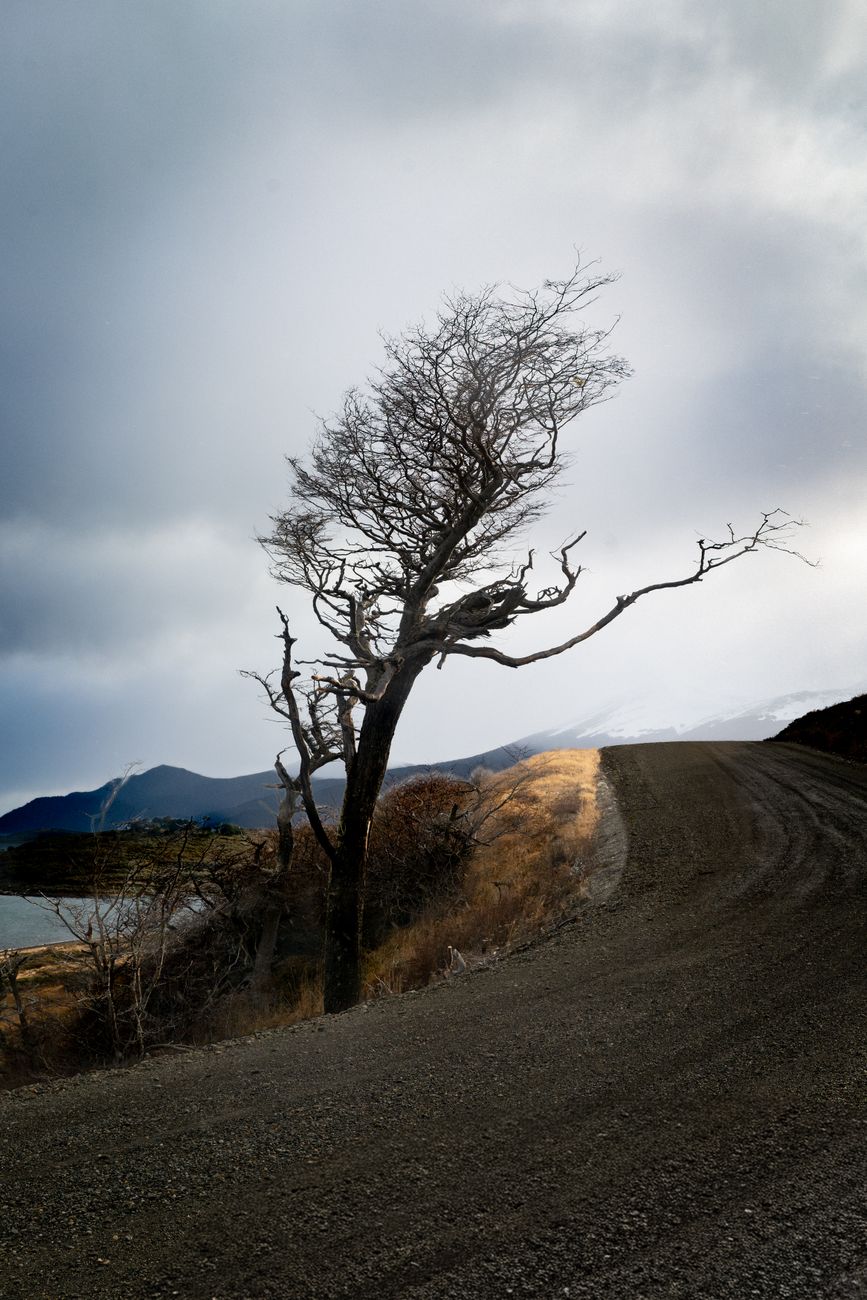 Expansive Patagonian mountain landscape and steppes