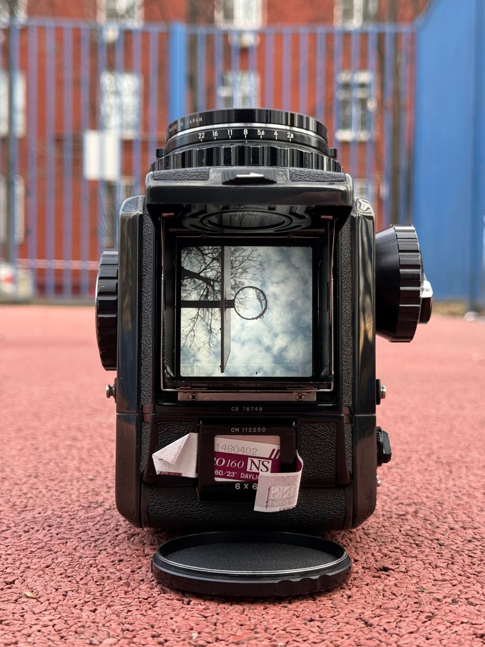 Analog Photography Field Camera in Woods